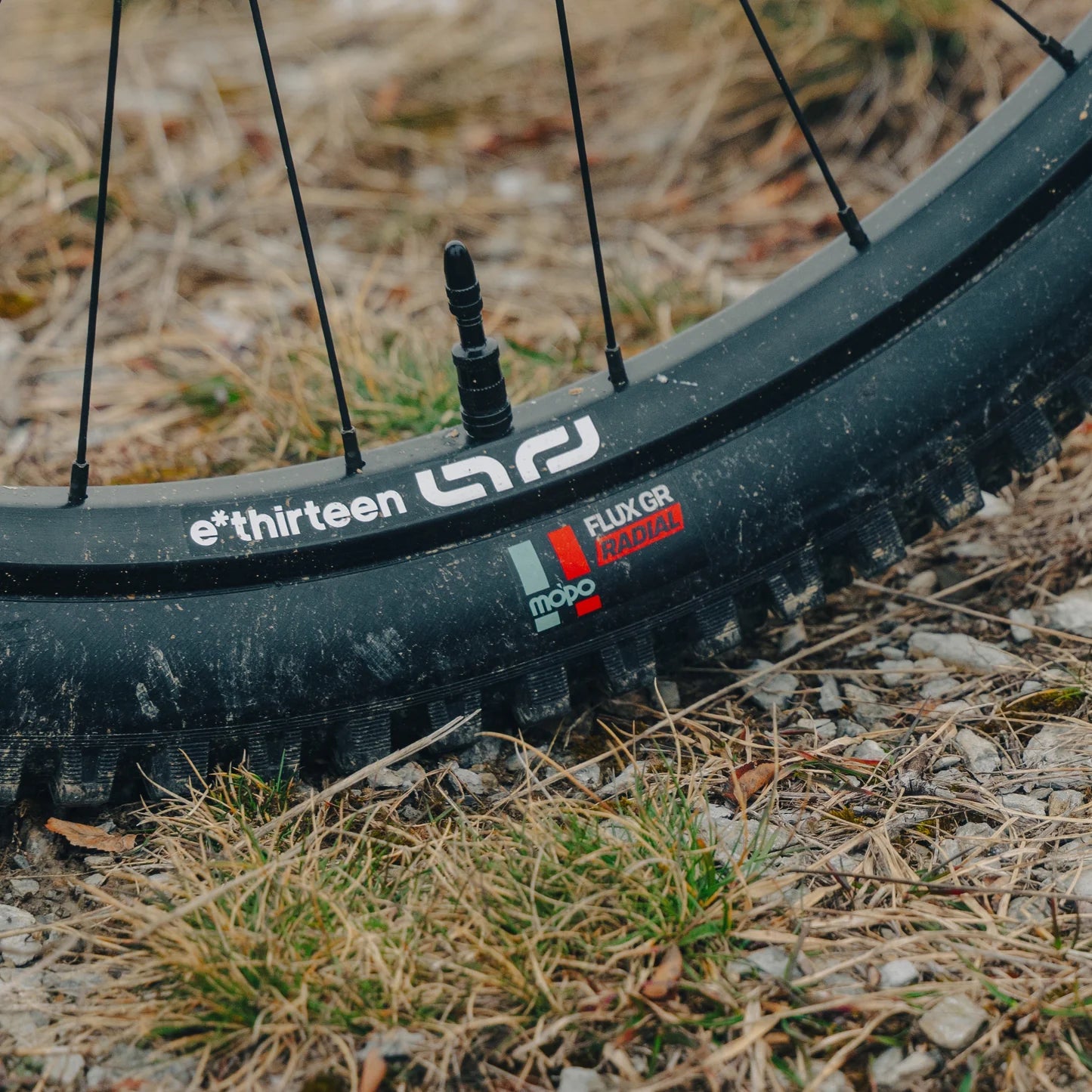 e*Thirteen Grappler Radial MTB Tire 29x2.5 27.5x2.5 27.5x2.4 Pair any size Flux GR Casing